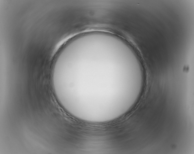 X0000113111312200908281007
