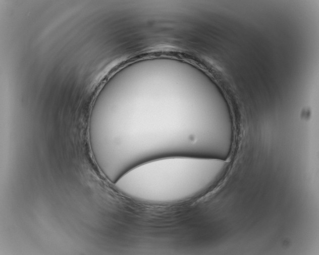 X0000113111313200908281007