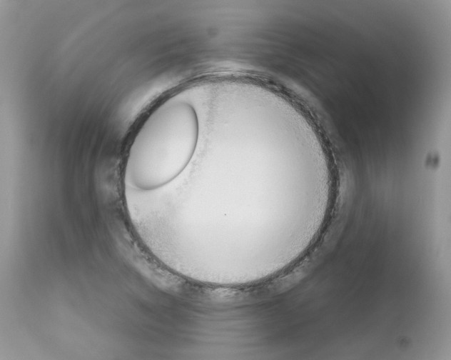 X0000113111314200908281007
