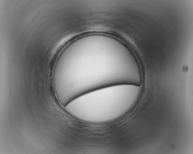 X0000113111315200908281007