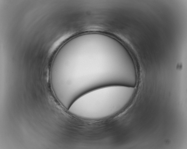 X0000113111317200908281007