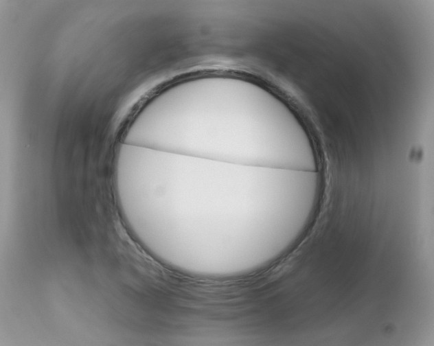 X0000113111318200908281007