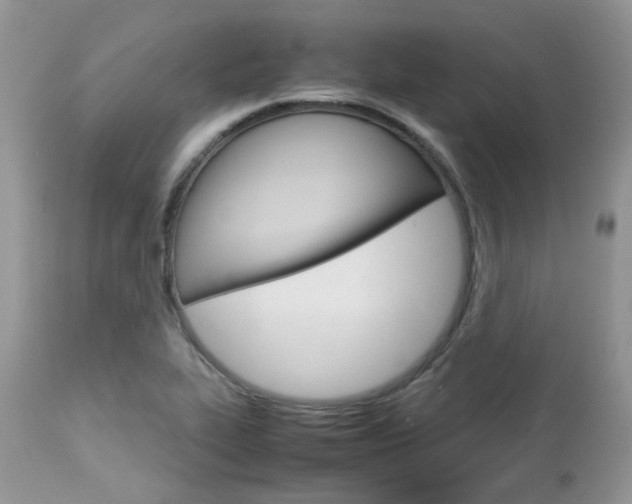 X0000113111319200908281007