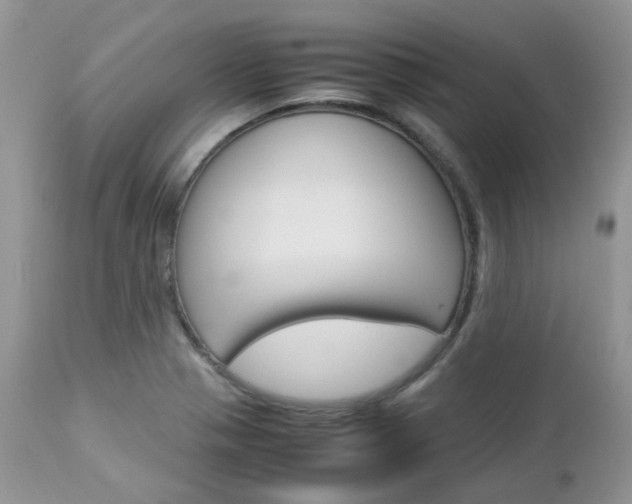 X0000113111321200908281008