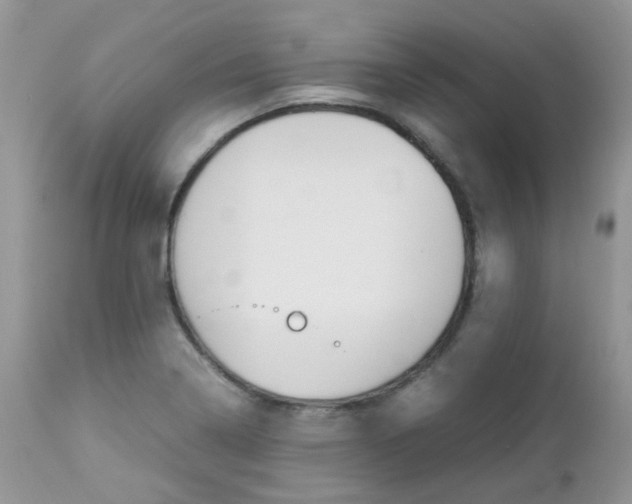 X0000113111322200908281008