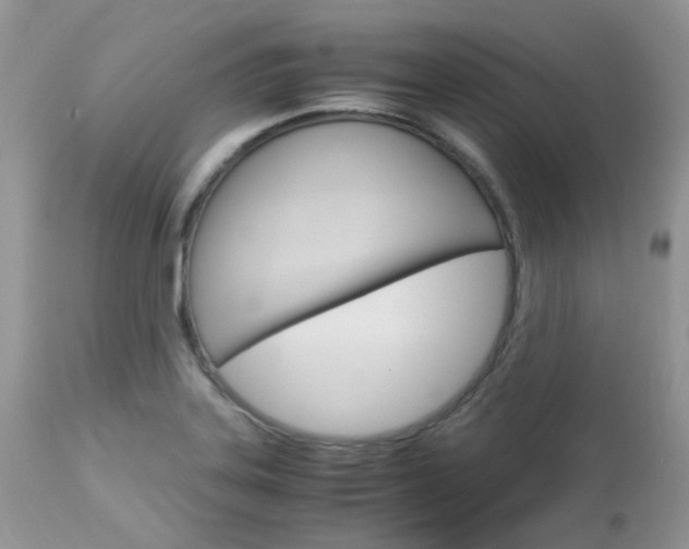X0000113111323200908281008