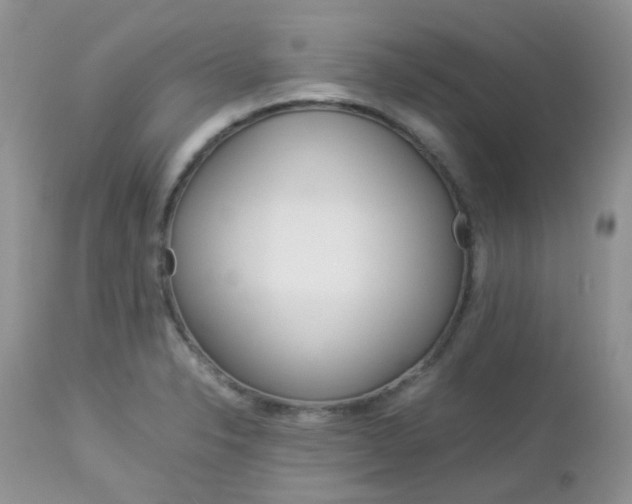 X0000113111326200908281008