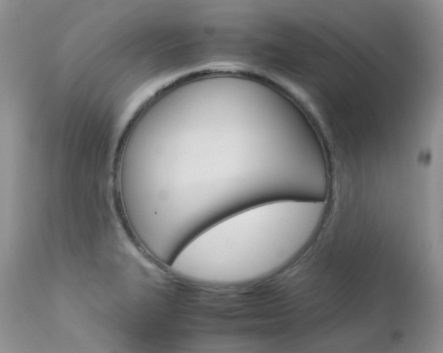 X0000113111327200908281008