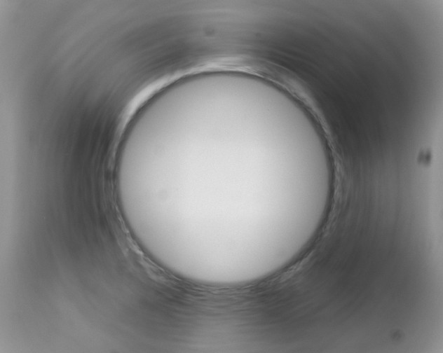 X0000113111328200908281008