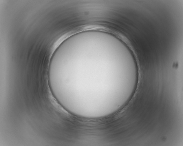 X0000113111330200908281008