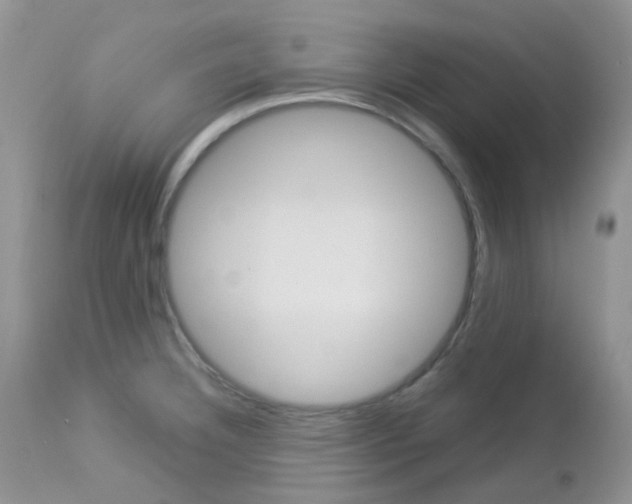 X0000113111332200908281008