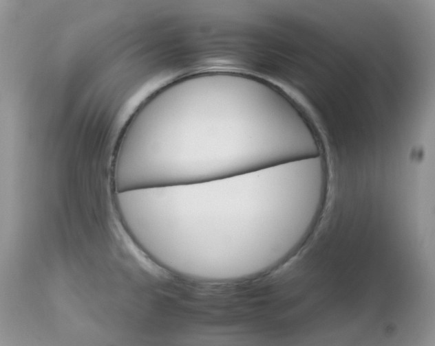 X0000113111333200908281008