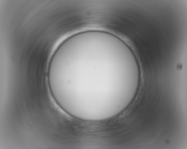 X0000113111334200908281008