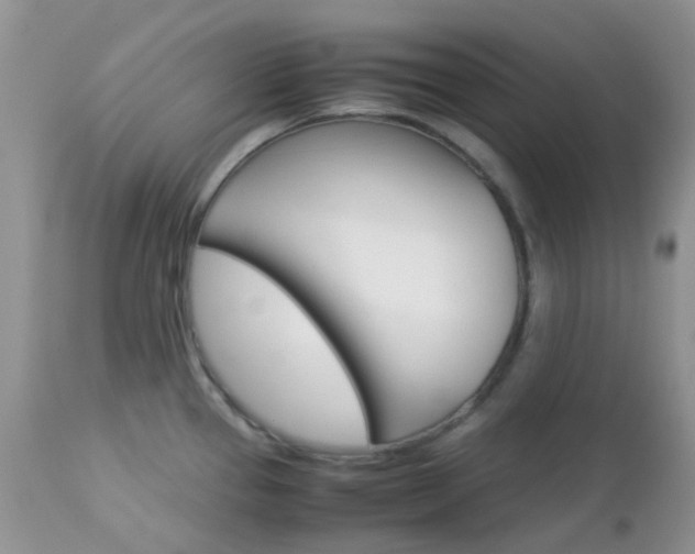 X0000113111337200908281008