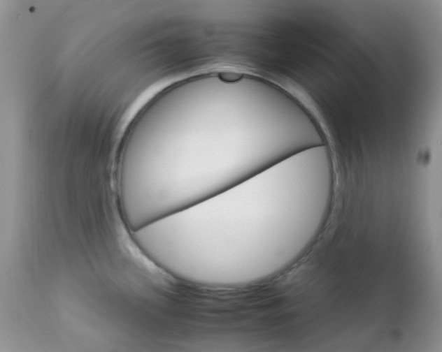 X0000113111339200908281008