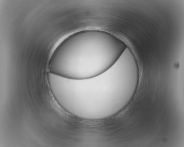 X0000113111340200908281008