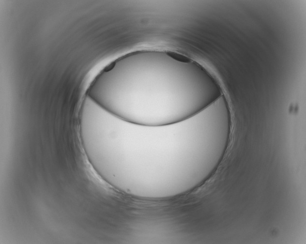 X0000113111344200908281008
