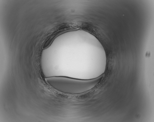 X0000113111345200908281007