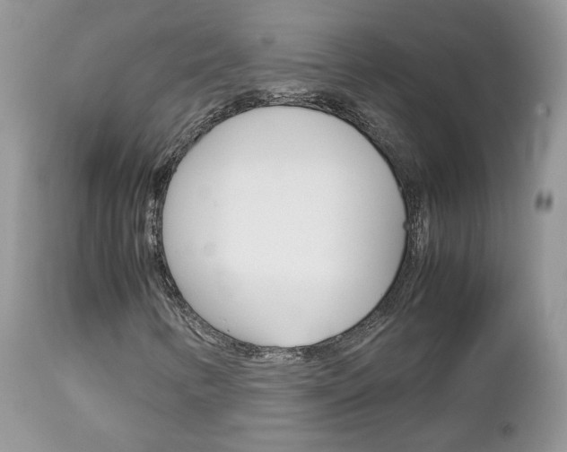 X0000113111346200908281007