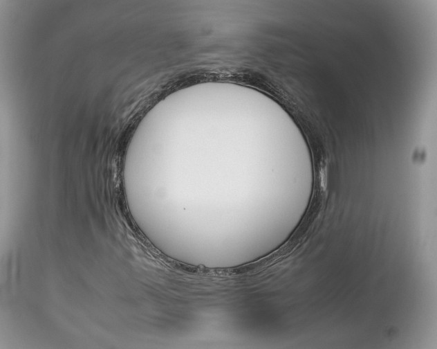 X0000113111347200908281007
