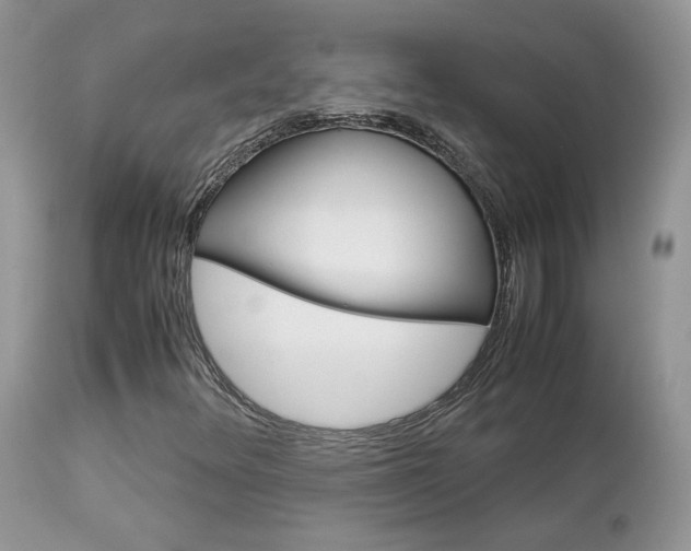 X0000113111348200908281007