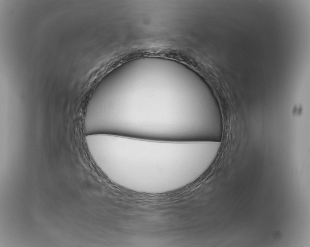 X0000113111349200908281007