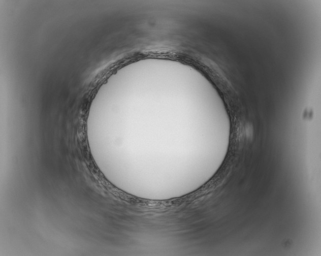 X0000113111350200908281007