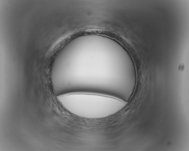 X0000113111351200908281007