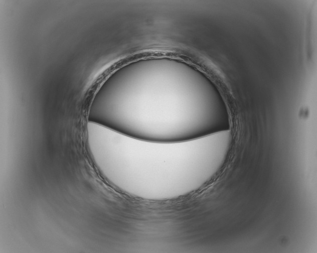 X0000113111352200908281007