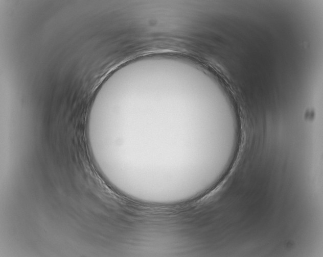 X0000113111353200908281007