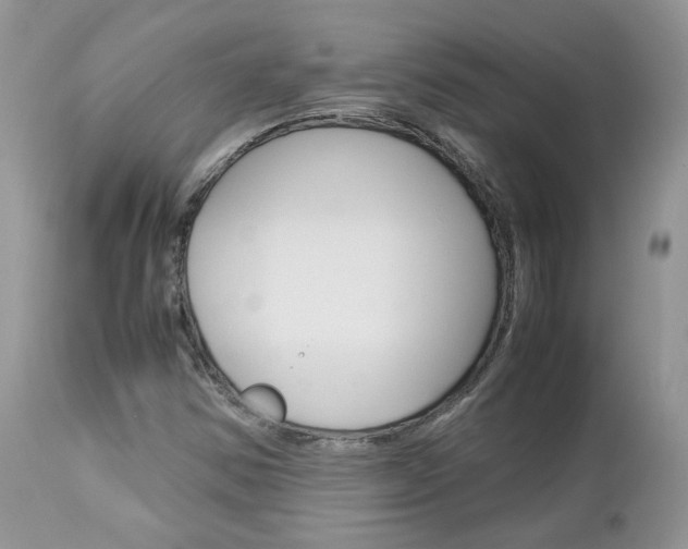 X0000113111354200908281007