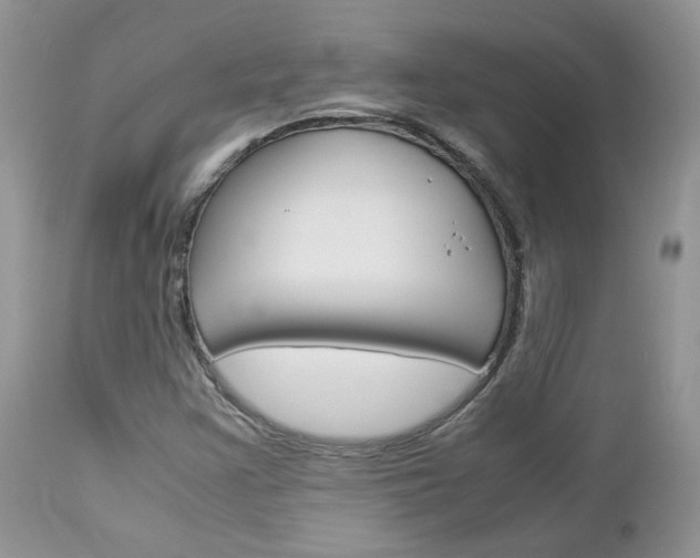 X0000113111355200908281007