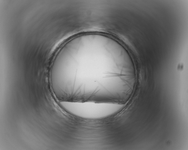 X0000113111356200908281007