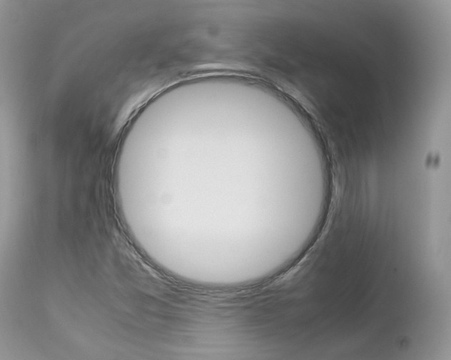 X0000113111357200908281007
