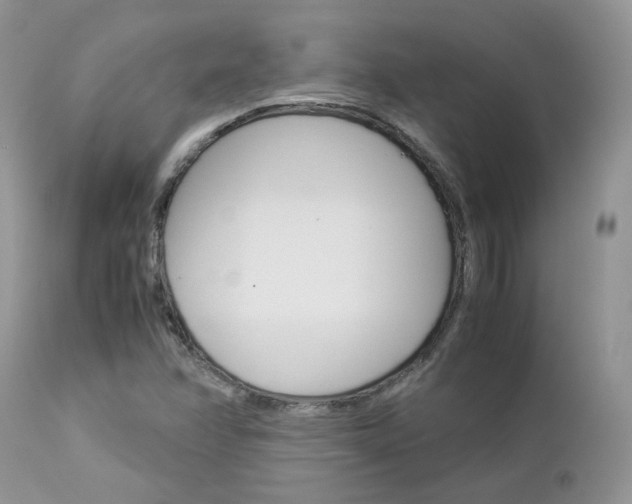 X0000113111358200908281007