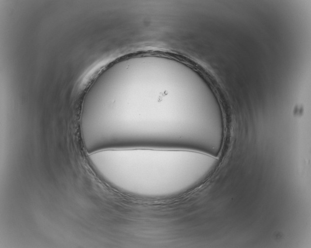 X0000113111359200908281007