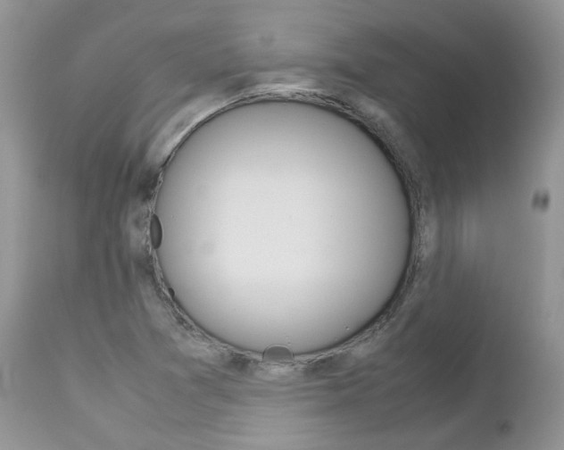 X0000113111361200908281007
