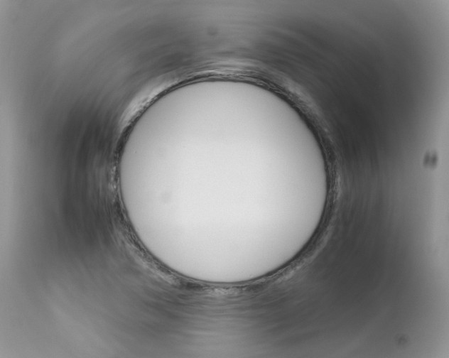 X0000113111362200908281007
