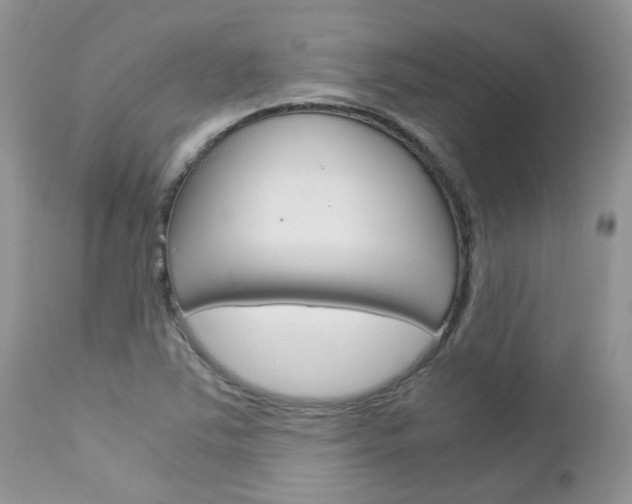 X0000113111363200908281007