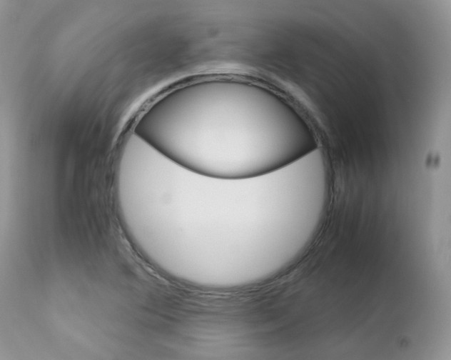 X0000113111364200908281007