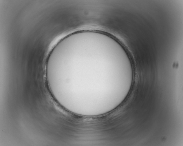 X0000113111366200908281007