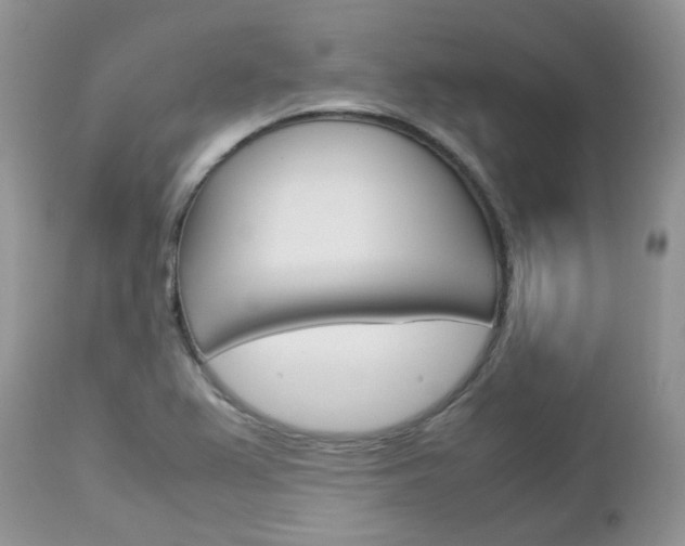 X0000113111367200908281007