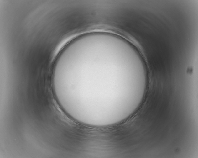 X0000113111368200908281007