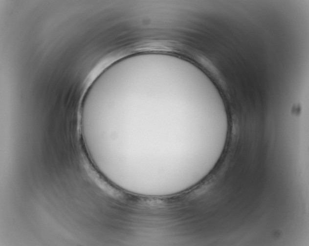 X0000113111370200908281007
