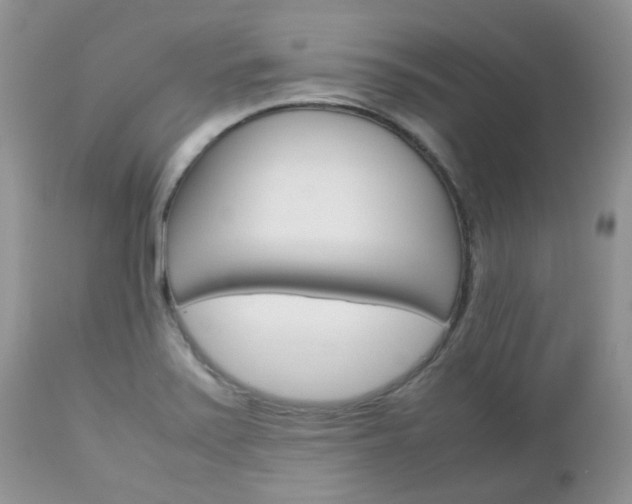 X0000113111371200908281007