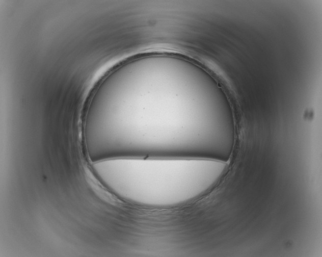 X0000113111372200908281007