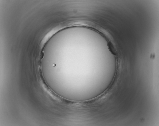 X0000113111373200908281007