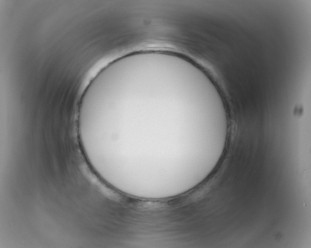 X0000113111374200908281007
