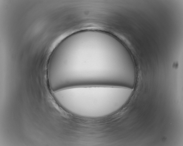X0000113111375200908281007