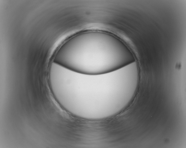 X0000113111376200908281007